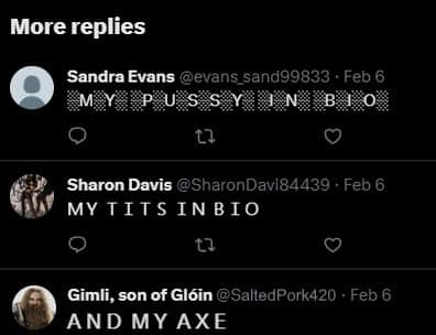 This meme is a screenshot of a Twitter conversation. The top tweet says "My pussy in bio" (without the "o"), implying that someone's Twitter bio has a provocative or suggestive name. The response to this tweet is "My tits in bio".